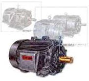 TATUNG MOTOR ELECTRIC
