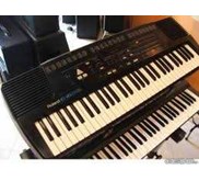 ROLAND E 16 MULUS