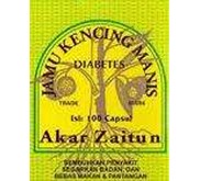 JAMU AKAR ZAITUN - obat / herbal diabetes kencing manis hiperglukosa dll