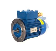 ELECTROMOTOR EXPLOSION-PROOF