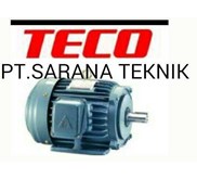 ELEKTRIK MOTOR TECO