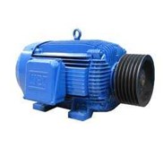WEG ELECTRIC MOTOR