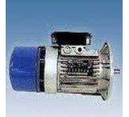 MGM BRAKE MOTOR