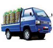 ISUZU BISON