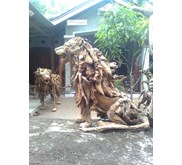 singa dari akar kayu jati