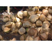 Fresh Coconut