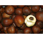 Snake Fruit