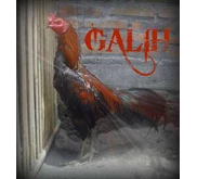 GALIH Ayam Jantan Aduan