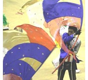 Marching eternity Flags