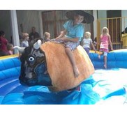 Bull Ridding ( Rodeo)