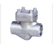 Forged Check Valve