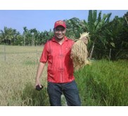 PADI BIBIT UNGGUL VARIETAS BESTARI