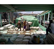 bungkil kelapa sawit ( Palm kernel expeller)