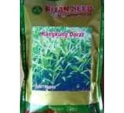 Benih Kangkung Darat Ritan Seed