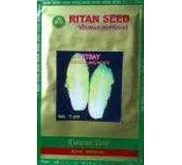 Benih Petsay Ritan Seed