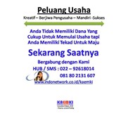Peluang Usaha