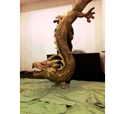 dekorasi 3D