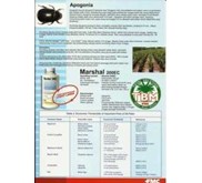 MARSHAL 200 EC