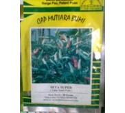 bibit cabe rawit SETA SUPER ( PRABU ARGO MANDIRI)