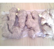 jahe gajah