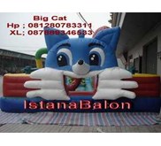 big cat