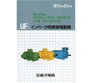 Toyo Denki Induction Motor