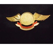 Pin Wing Umum