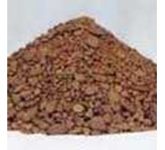 Rape Seed Meal