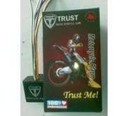 ALARM MOTOR TRUST