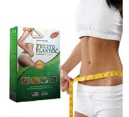PELANGSING BADAN FRUIT PLANT NEW