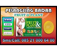 FRUIT & PLANT