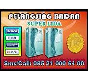 LIDA DAIDAHUA
