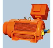 AC 3-Phase Low Voltage Motor