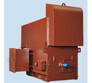 AC 3-Phase High Voltage Motor