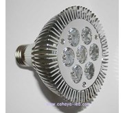 LED Par30 7 Watt