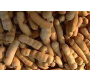 Asam Jawa Tamarind