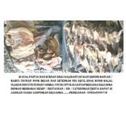 IKAN SEPAT KERING/ GABUS / GARIH DAN IKAN GABUS / BETOKSEGAR ASLI KALIMANTAN