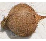 KELAPA TUA