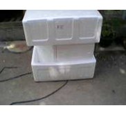 BOX 75 Styrofoam ( garuda)
