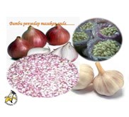 Bawang Bumbu Masak