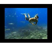 FreeDive Trip