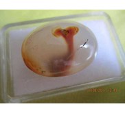 Batu Alam ( Berbentuk badan Ikan paus)