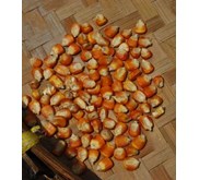 Jagung Ose