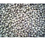 Kacang Hijau