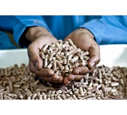 Wood Pellet
