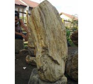 Fosil kayu # 001#