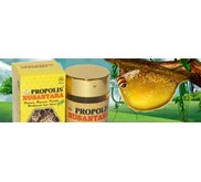 PROPOLIS