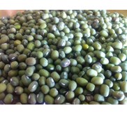 Kacang Hijau Butek