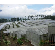 Pembuatan Greenhouse Rumah Kaca