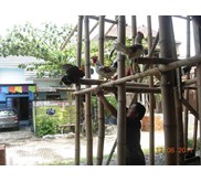 Kediri Ayam Farm